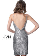 JVN1112 Silver back
