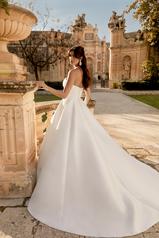 44495 Ivory back