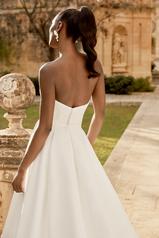 44496 Ivory back