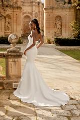 44496 Ivory back