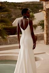 66355 Ivory back