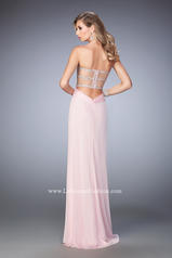 22470 Pink back