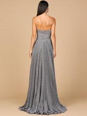 28932 Grey back