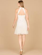 51171 Ivory back