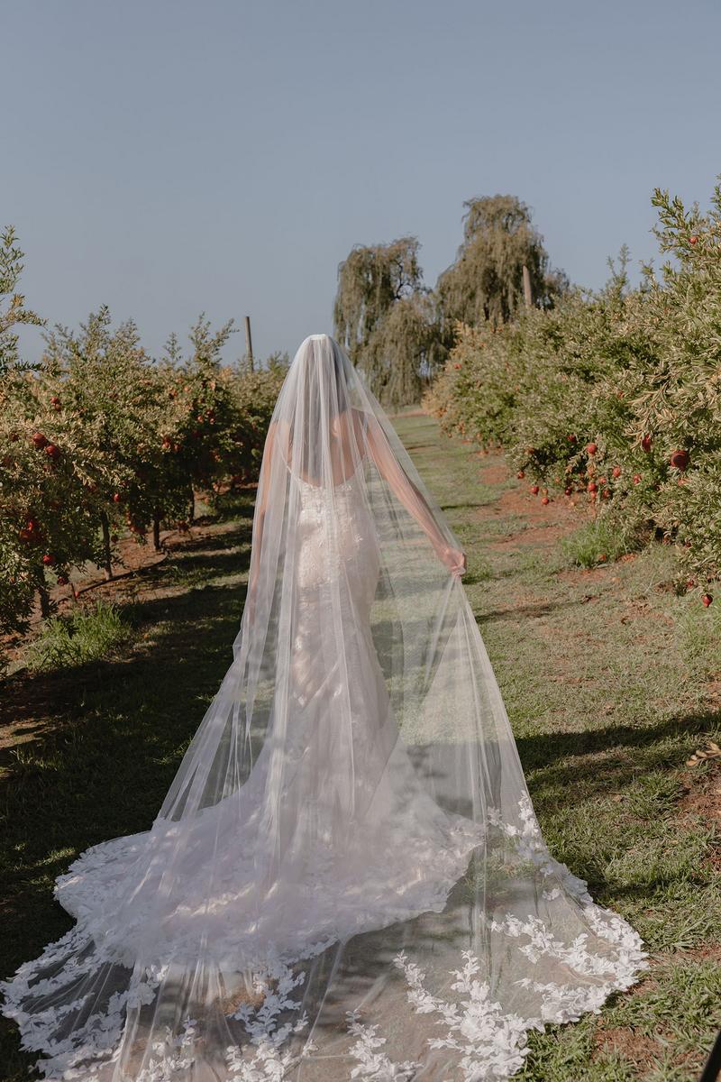 Madi Lane Bridal Sasha_Veil