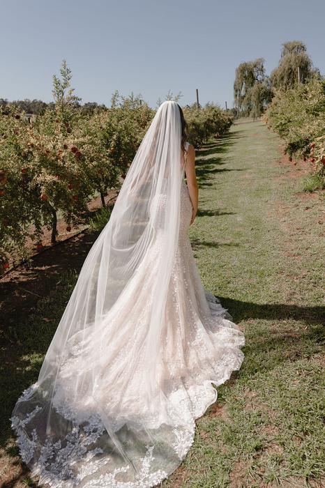 Madi Lane Bridal Salma_Veil