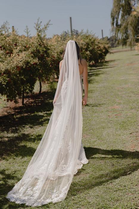 Madi Lane Bridal Sarchi