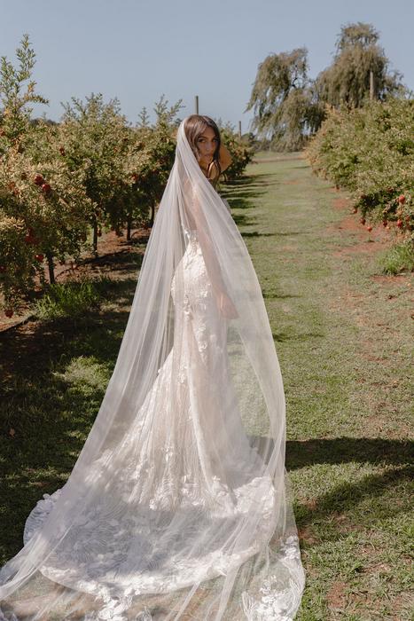 Madi Lane Bridal Suzette_Veil