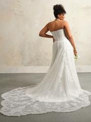 24MS774B02 Ivory back