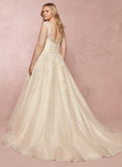 9RC003AC Ivory Over Light Champagne back