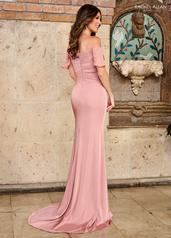 RB8161 Dusty Rose back