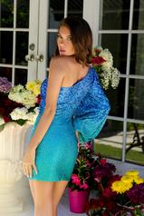 28239 Blue Teal back