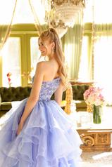 28575 Periwinkle back