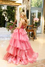 29546 Coral Pink back