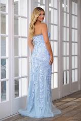 39263 Light Blue back