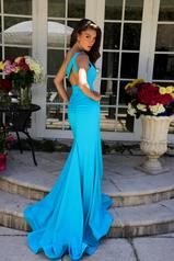 40014 Turquoise back