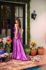 40015 Violet back