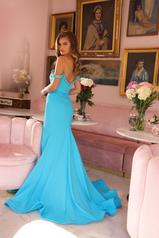 40022 Turquoise back