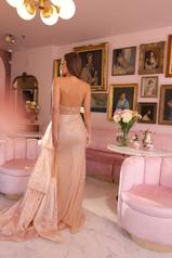 40064 Nude/Champagne back