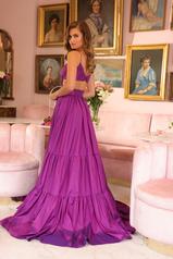 40093 Violet back