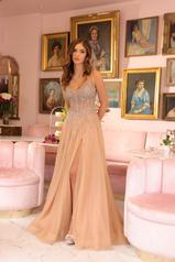 40113 Nude Gold front