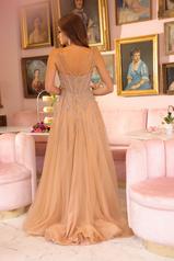 40113 Nude Gold back