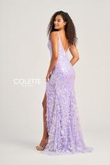 CL5155 Lilac back