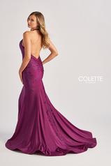 CL8455 Plum back