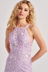 CL8665 Lilac detail