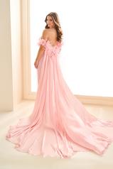 EW36027 Light Pink back