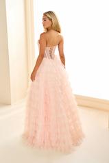 EW36029 Blush back