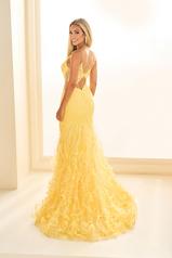 EW36041 Light Yellow back