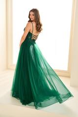 EW36066 Emerald back