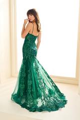 EW36069 Emerald back