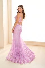 EW36082 Lilac back