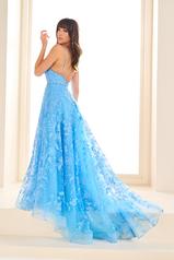 EW36088 Bluebell back