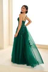 EW36207 Emerald back