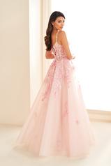 EW36213 Blush back