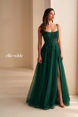 EW36228 Emerald front