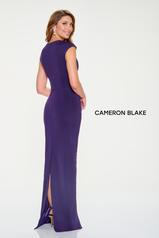 CB205 Dark Amethyst back