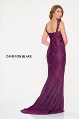 CB210 Aubergine back