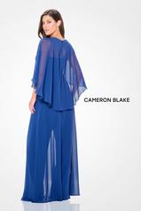 CB3242 Blue Willow back