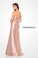 CB3248 Blush back