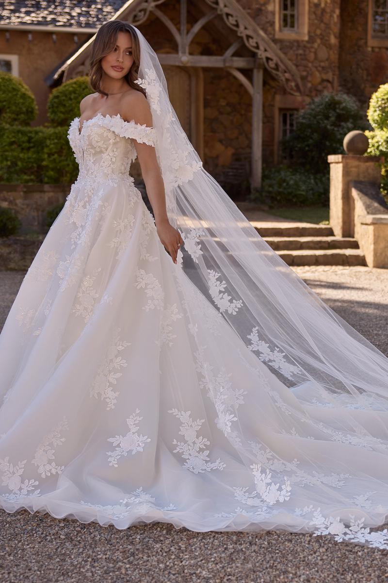 Sophia Tolli Premiere Bridal ST631VEIL