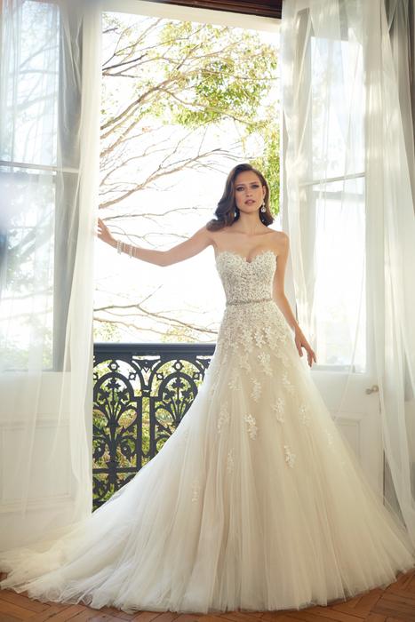 Prinia-Sophia Tolli Y11552