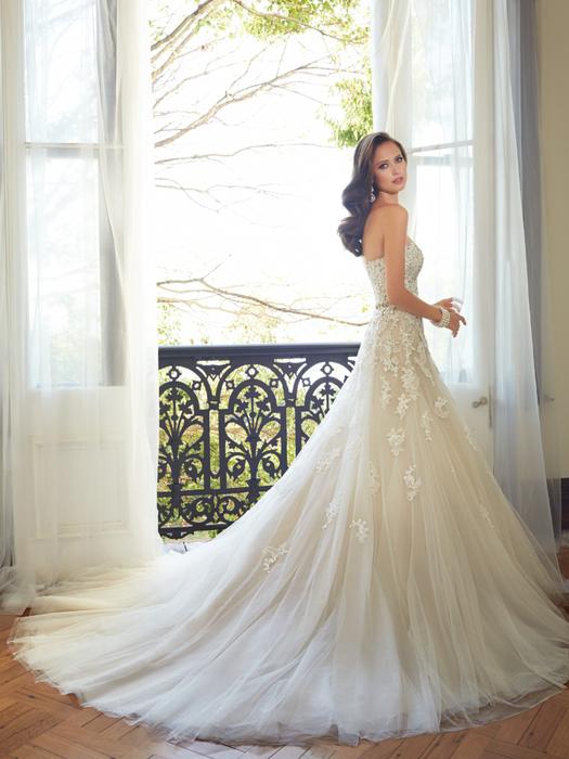 Prinia-Sophia Tolli Y11552