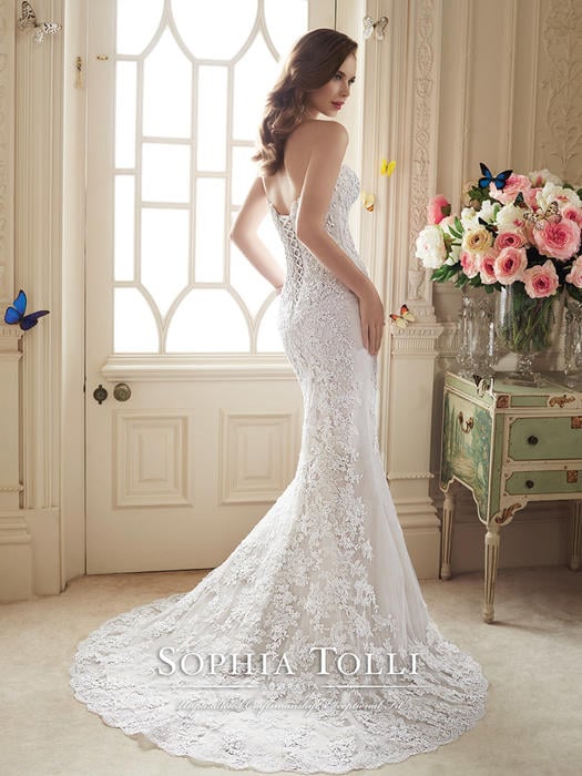 Maeve-Sophia Tolli Y11652