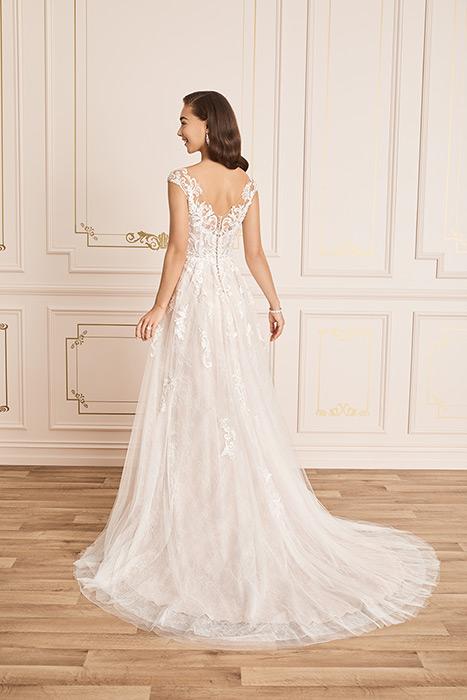 Kaydence-Sophia Tolli Y12023