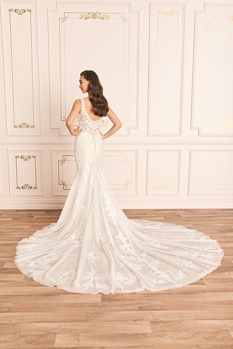 Roberta-Sophia Tolli Y12025