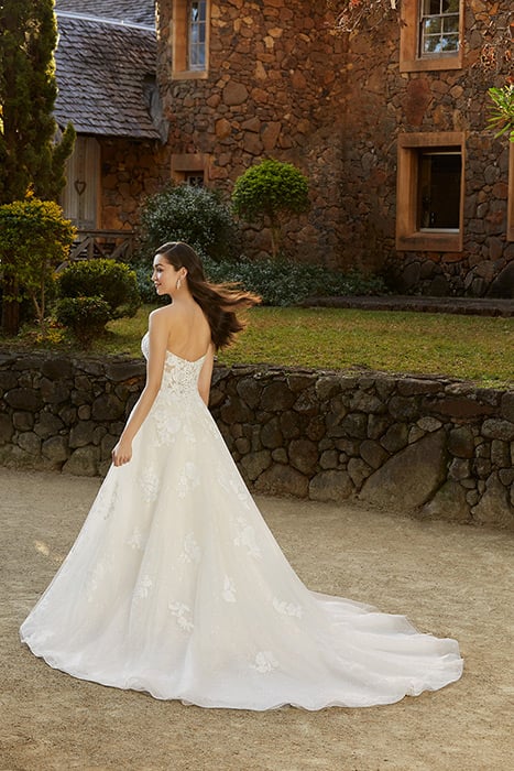 Paige-Sophia Tolli Y12231